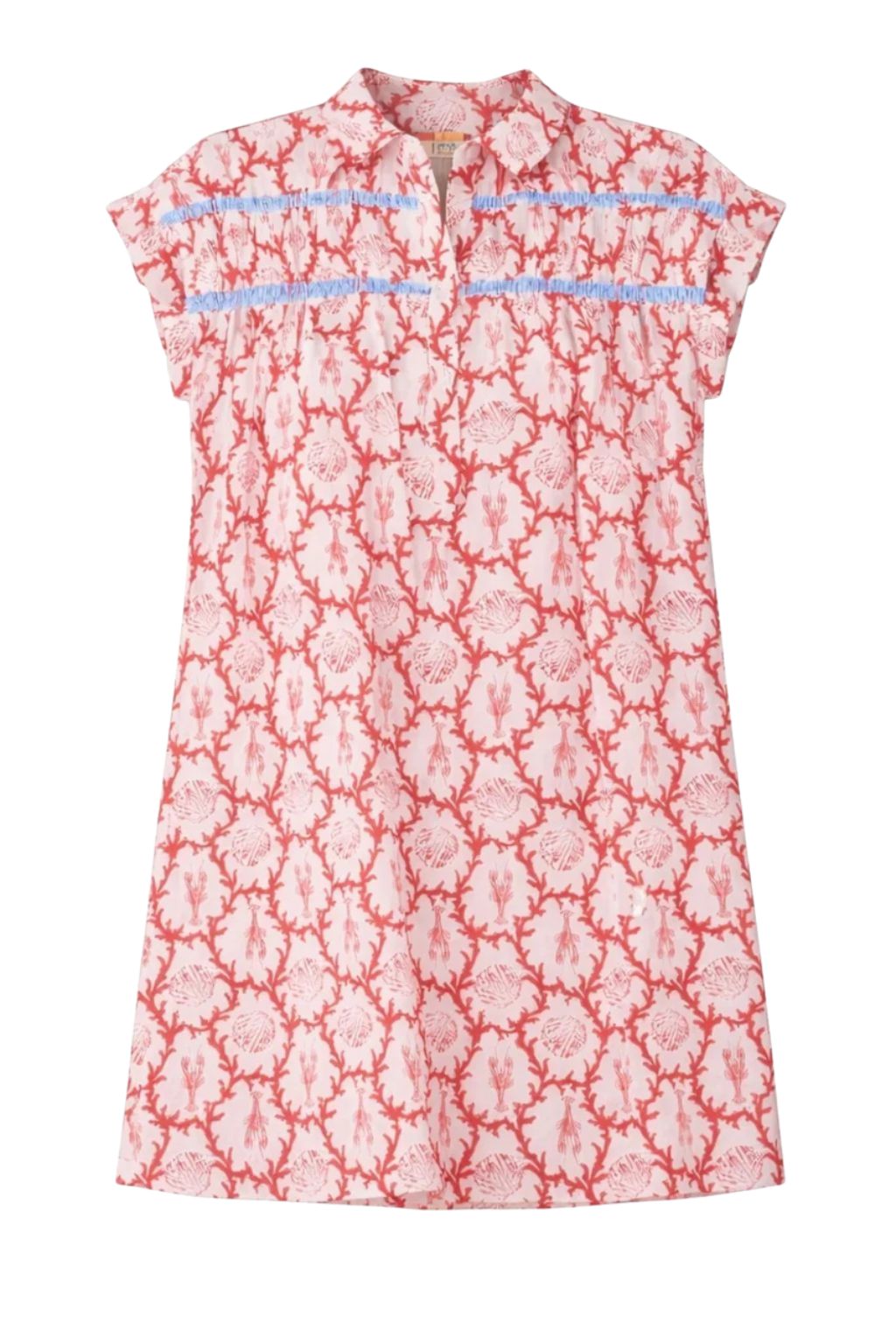 Olive and Bette's - Shell Print Dress
